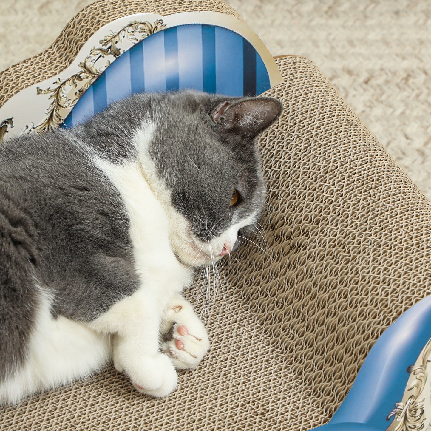PawHut 2-in-1 Cat Scratcher & Cardboard Lounge Bed with Catnip, Blue