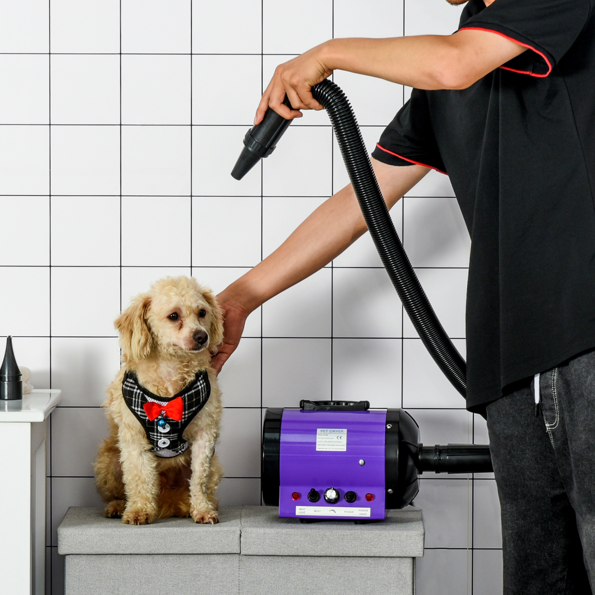 2800W Pet Grooming Dryer with 3 Nozzles – High-Power Blaster Blower