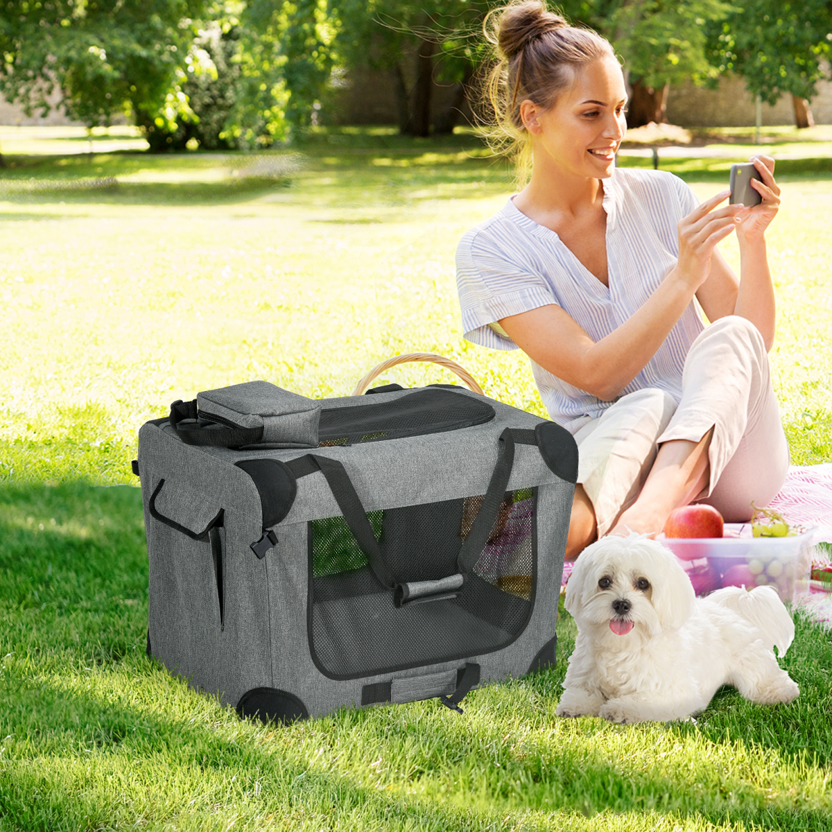 PawHut Foldable Pet Carrier with Cushion, 60x41.5x41 cm, Grey