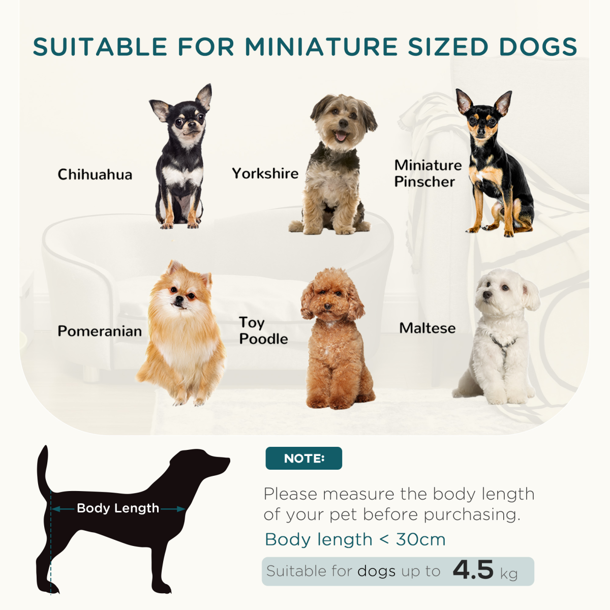 Cozy Modern Dog Sofa with Storage Pocket & Removable Cushion