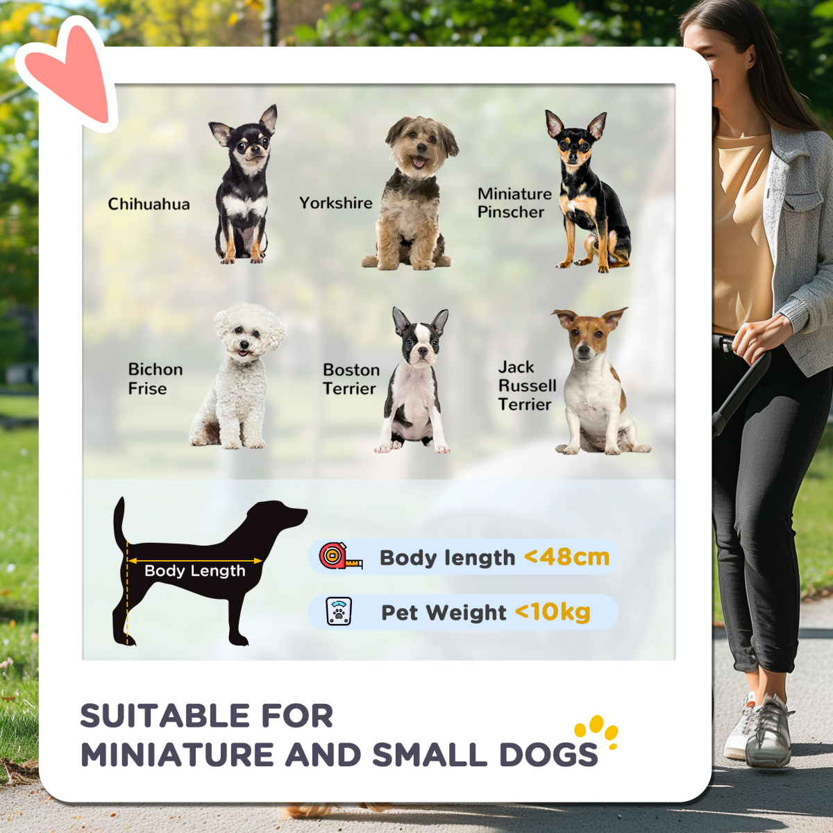 PawHut Foldable Pet Stroller & Carry Bag for Small Dogs & Cats