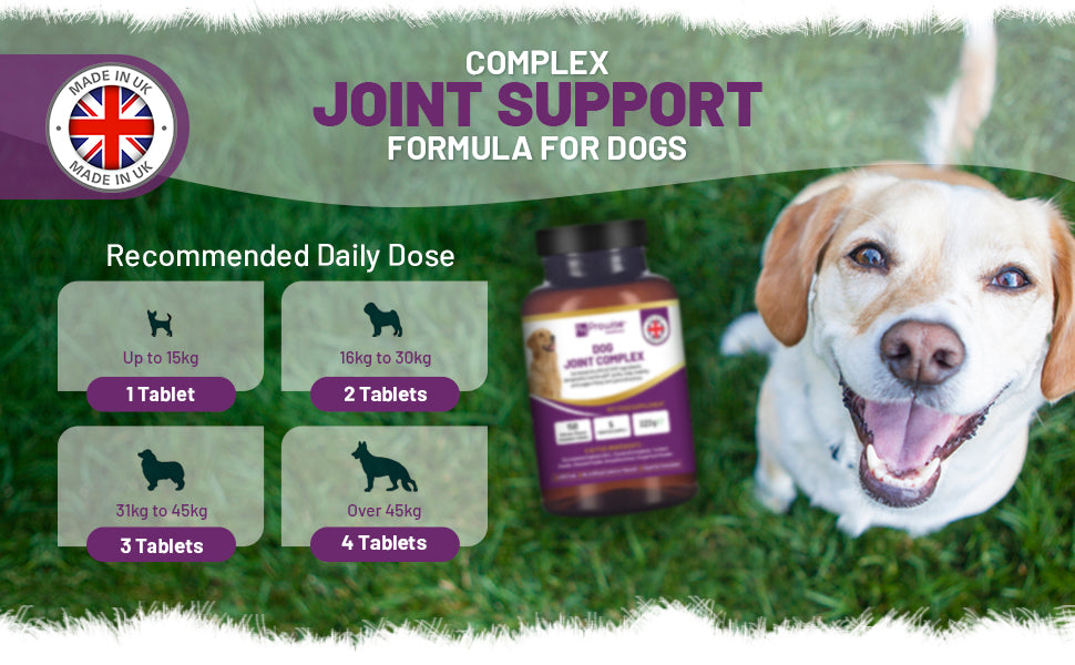 Prowise UK Dog Joint Support: 150 Chicken Chewable Tablets, 5 Months Supply