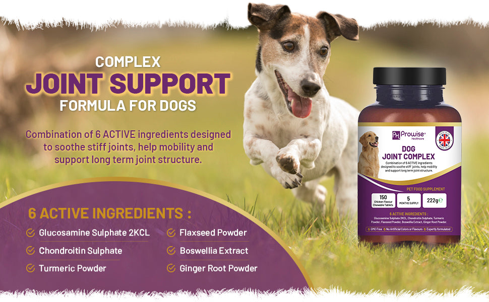 Prowise UK Dog Joint Support: 150 Chicken Chewable Tablets, 5 Months Supply